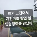비어플독
