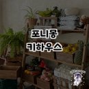 포니하우스 | 아늑한 분위기가 가득한 포니몽키하우스 방문 후기🐾