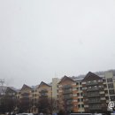 호수대중목욕탕 이미지