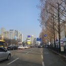 에쿠스종합동물병원(출장진료 전문) | 광주장거리택시 나주 빛가람동 예약 운행 후기