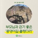 충주호 종댕이 | [충주여행] 이틀째 2번째 코스: 80대 부모님과 걷기 좋은 '종댕이길 출렁다리'