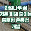 신농과일 네이버블로그