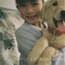 레오동물병원 이미지