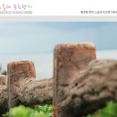 노을과포도향기 이미지