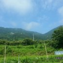 큰엄마밥상 이미지