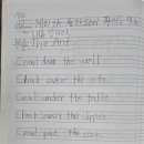 The Ant 이미지