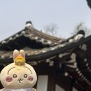 팔당역 | 남양주 팔당역 맛집 온고재 주말 웨이팅 솔직 후기｜화덕피자보다 파스타를 추천하는 이유