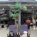 멍플레이스 이미지