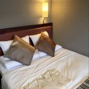 스테이호텔 | 후쿠오카 호텔 마이스테이 텐진 후기 스탠다드룸 에코플랜