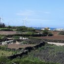 오토오아시스 백록담점 이미지