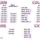 보보헤어 네이버블로그