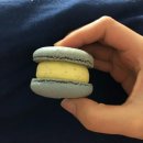 투게더김밥천국 이미지