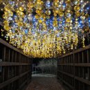 횡성군 병지방 오토캠핑장 이미지