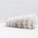 홋카이도 이미지