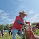 대신의원 이미지
