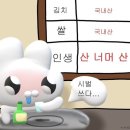 김밥나라 효천점 | [일상] 다이어터인데 식단은 일반식보다 잘 먹는 나의 먹는 일상
