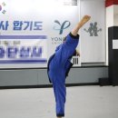 용인대 석사 합기도 & 휘트니스 이미지