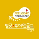필굿투어앤골프 이미지