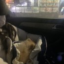 호두데이 이미지