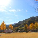 삼장면 다목적 캠핑장 이미지