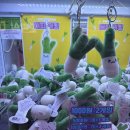 외치길 | 마침내 너에게 다가가 사랑해 외치기 위해