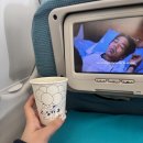 871 | [인천공항 - 덴파사르 발리 공항 여객기, GA871] 가루다항공 기내식 좌석배열 이용 후기