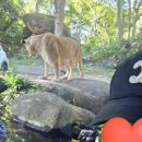 Mara River Safari Lodge (마라리버사파리롯지) 후기｜예약팁·프로그램·객실 총정리 (발리 사파리 호텔)