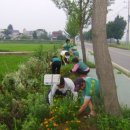 둔포농협미곡종합처리장 이미지