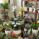 대전광역시중구은행선화동행정복지센터 이미지