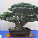 중화고등학교 이미지