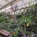 선곡목장 이미지