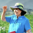 농업회사법인(주)반디 네이버블로그