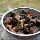 영감댁민박 이미지