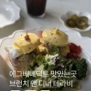 산양타워 | 강서구 브런치 카페 '테라비' 주차와 애견동반 까지 되는 에그베네딕트 맛집