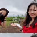 아르떼민박