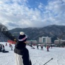 리치파크A동,B동 | 소노벨 비발디파크 객실 B동 스위트 오크 겨울 가족여행 추천