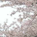 서울적산주