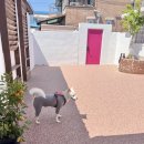 컴페니언바이주문진 이미지