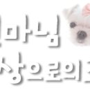 파리바게뜨 부개점 이미지