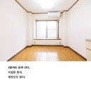홍시 커뮤니케이션
