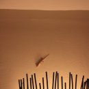 마야메드 이미지