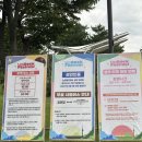 제16회 부산국제매직페스티벌 | 2025 렛츠락 페스티벌 1일차 후기 - 우즈 하현상 위주 ft.비오는 날 난지한강공원
