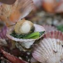 평화횟집수산 이미지