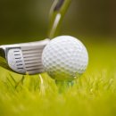 알지골프 이미지