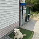 원조 - 남구 | 원조