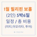 율스네일 | [보홀] 2인 5박 6일 총 비용, 일정 (미티,아모리타,스노쿨링3회) +여행 팁