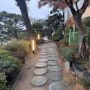 대원정사 | 후암동 카페 콤포타블 남산 카페 애견동반 야경 주차 후기