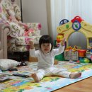(주)아윤 Daum카페