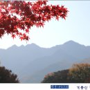 삼은사 이미지