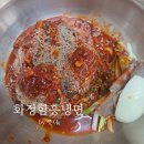 화정함흥냉면 | [고양] 화정 냉면 맛집 함흥냉면 전문점 ㅣ 냉면, 갈비탕 후기